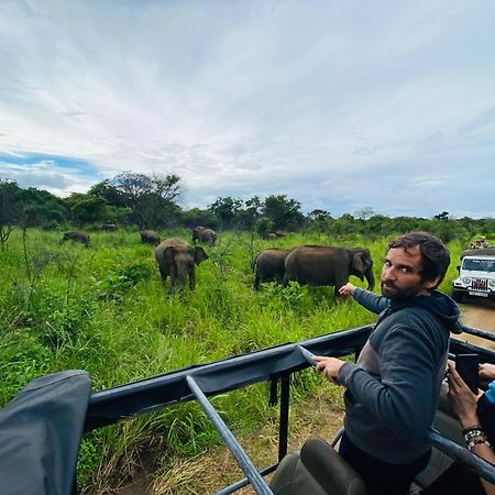 Minneriya Jeep Safari Habarana Zewnętrze zdjęcie