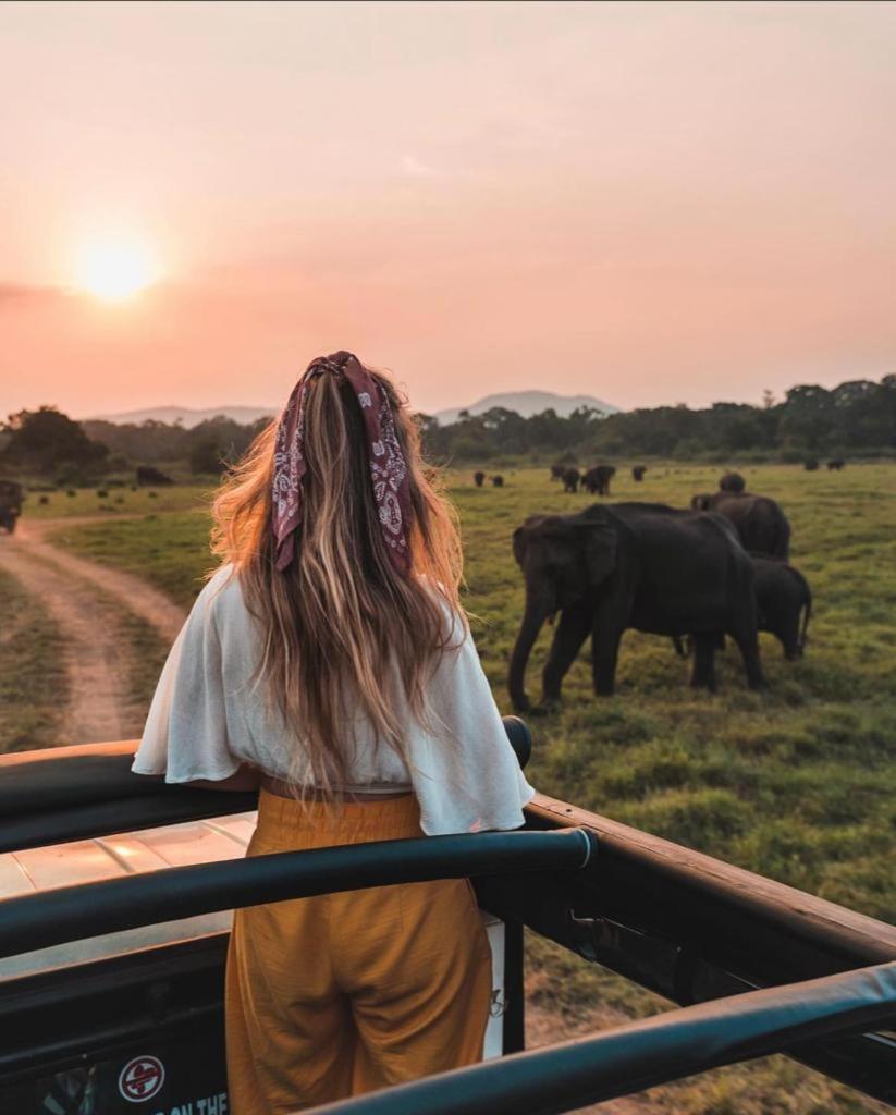 Minneriya Jeep Safari Habarana Zewnętrze zdjęcie