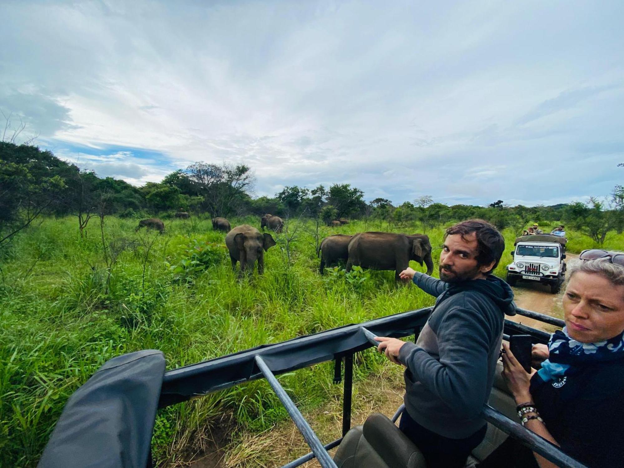 Minneriya Jeep Safari Habarana Zewnętrze zdjęcie